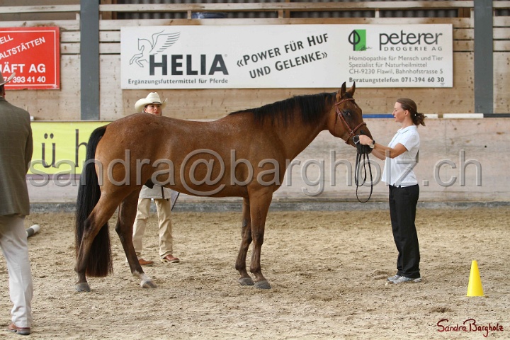 24-ApHC HIH_069.jpg